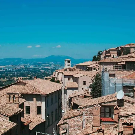 Daire Assisi, Da Bernardo Assisi